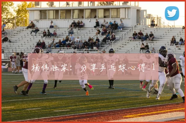 杨伟独家：分享乒乓球心得_1