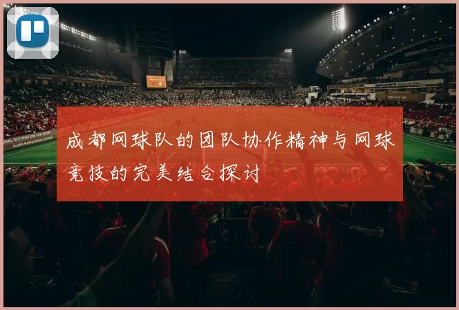 成都网球队的团队协作精神与网球竞技的完美结合探讨