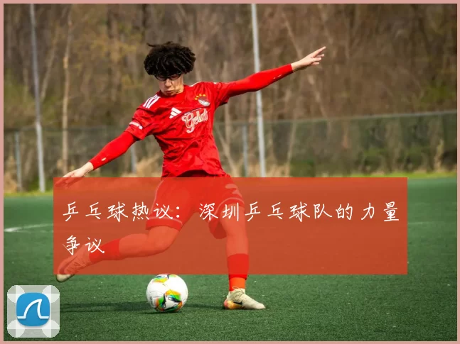 乒乓球热议：深圳乒乓球队的力量争议