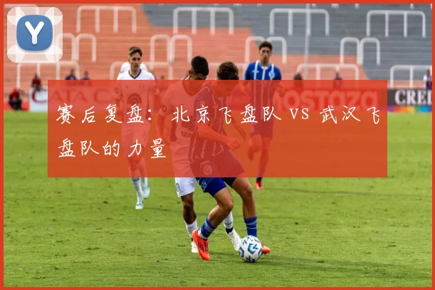赛后复盘：北京飞盘队 vs 武汉飞盘队的力量