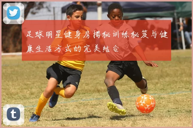 足球明星健身房揭秘训练秘笈与健康生活方式的完美结合