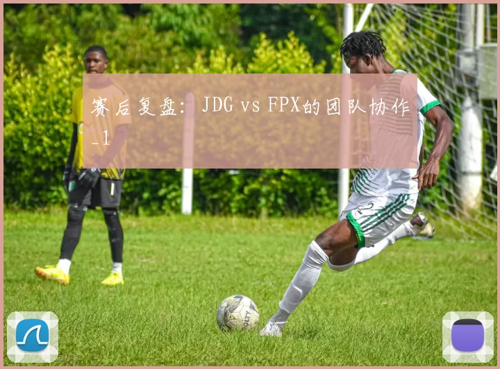 赛后复盘：JDG vs FPX的团队协作_1