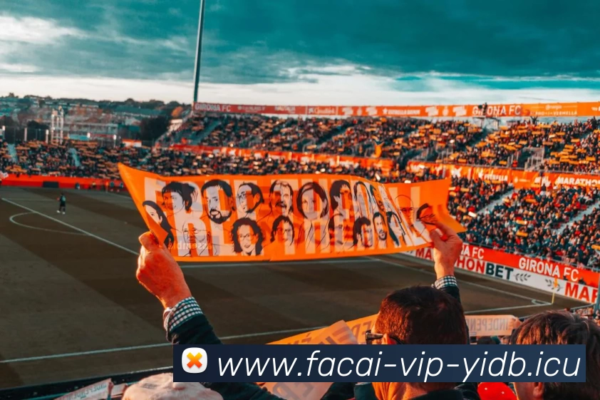 星空体育注册平台生态图