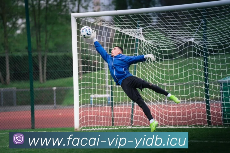 星空体育注册APP 封面图